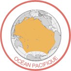 awateha-badge-ocean-pacifique.png